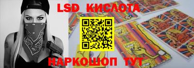 PSILOCYBIN Новокубанск
