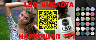 молекула духа Новозыбков