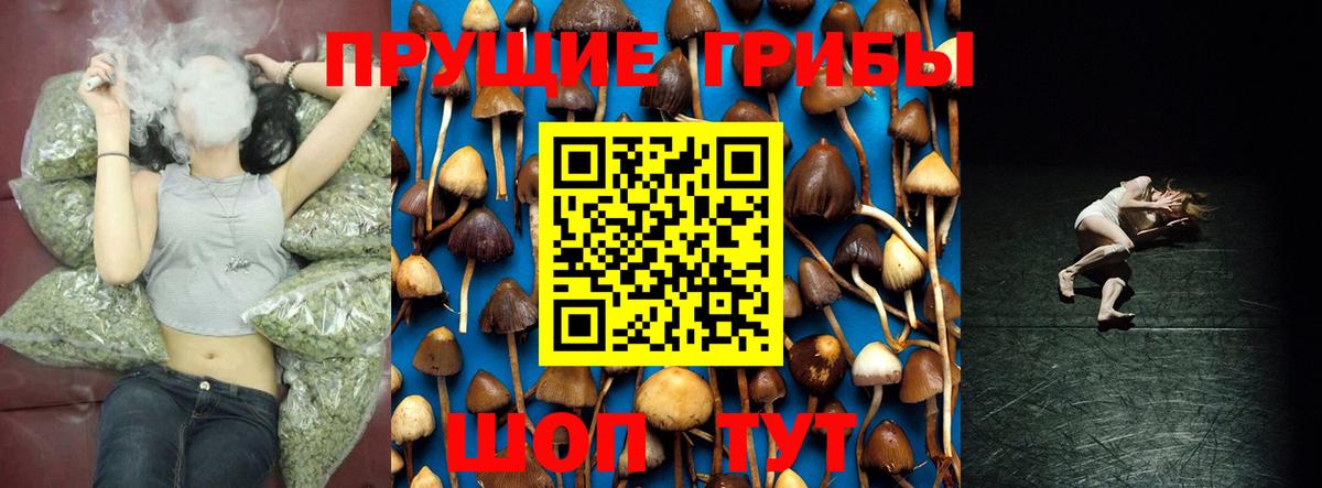 Галлюциногенные грибы Magic Shrooms Соль-Илецк